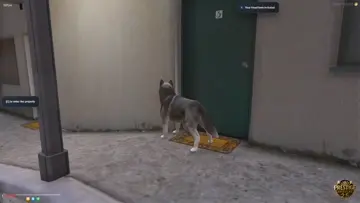 ARF