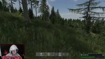 Dayz Kill