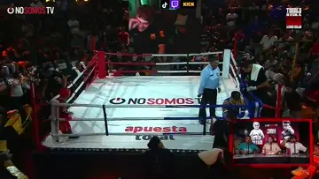 CUAL PELEA ES MEJOR??