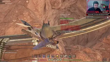 morcegos !!!!!!!