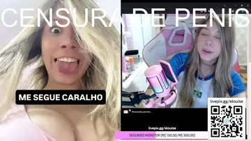 paneleira