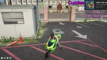 fly high cuddles