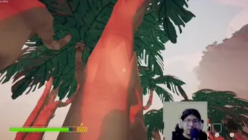 Un coco