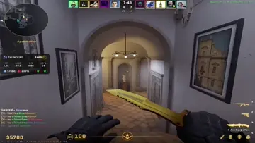 CRAZY PEEK
