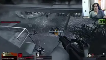 insano