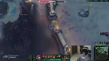 xd
