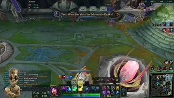 neeko bait
