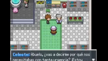 EL CAMINO DE KIWI