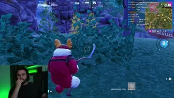 Top 10 Bush