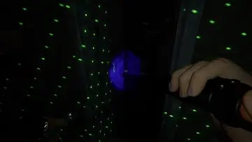 rip pato