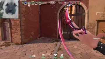 chill ace