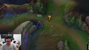 cuando ves a un yi salvaje aparecer!!