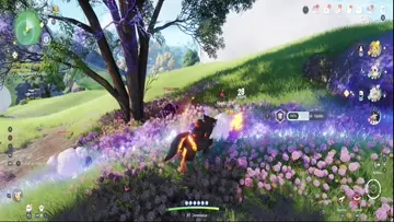  Primera del mundo Nimbi "Sparkling" (Brillante)