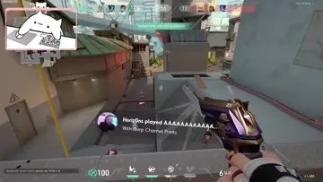 AAAAAAAAAAAA