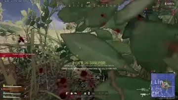c4