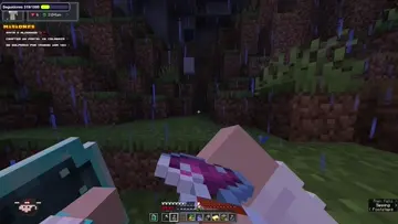 xd