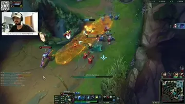 Oloco viado