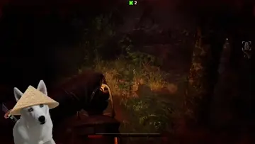xd