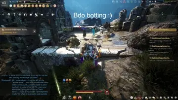 Bdo bot found