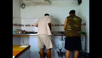 El pollo