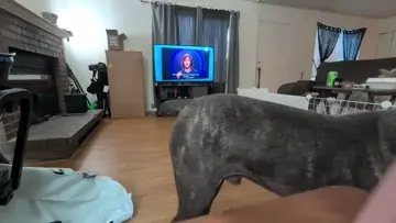 Big Ro wants cheese