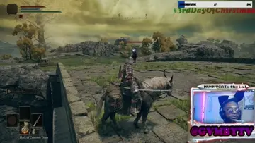 RUN UP THEEN!!!! Bridge Fight