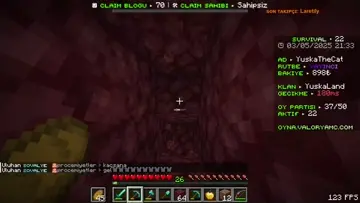 bshdd