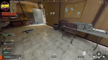snipe