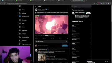 palo en directo