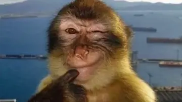 Babunyam yA mesaj