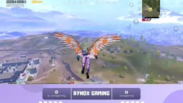 yoooooooooo