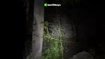 nos espantaron en el cementerio