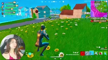 Nice Snipe