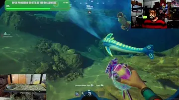 caught in 4k