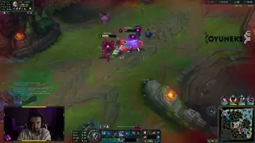 ww bug