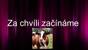 První stream úplně nevyšel😢😢