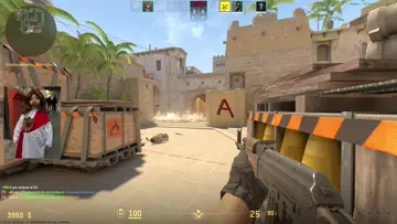 Nice Flick