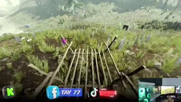Nuevo Juego