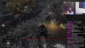 GETTING HUMBLED BY A TREE