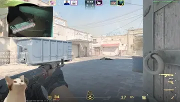 XDXDDD