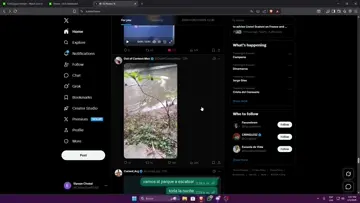 NO CASI SE FILTRAN!!!!