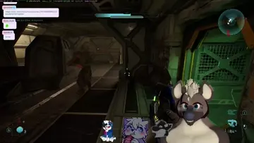 Weapon drop ✨️