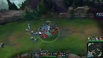 stele tp