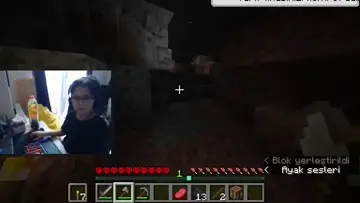 en sevilen şeftali