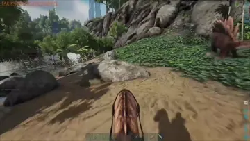 raptor?