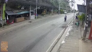 Jetski Train Returns