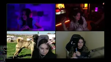 Zeranın Kangalı görünce aklı gidiyor