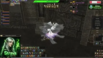amigo de psyren