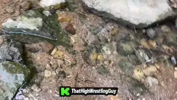 Needles In The Water..?