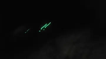 fucked em up